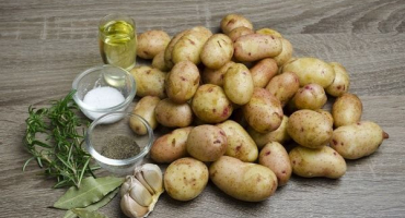 Výhody a poškození mladých brambor, jak klíčit a kdy zasadit